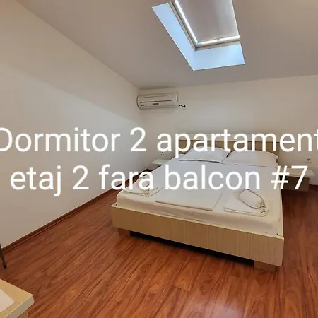 게스트하우스 Pensiunea Alegria