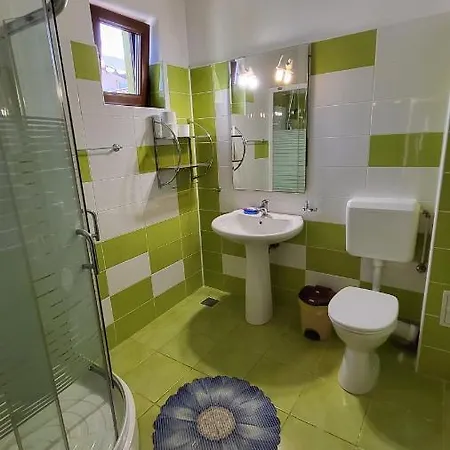 Pensiunea Alegria 3* 데포리노드