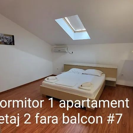 Pensiunea Alegria Pensionat