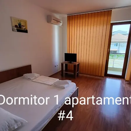 Pensiunea Alegria 게스트하우스 3*