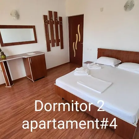 Pensiunea Alegria 게스트하우스