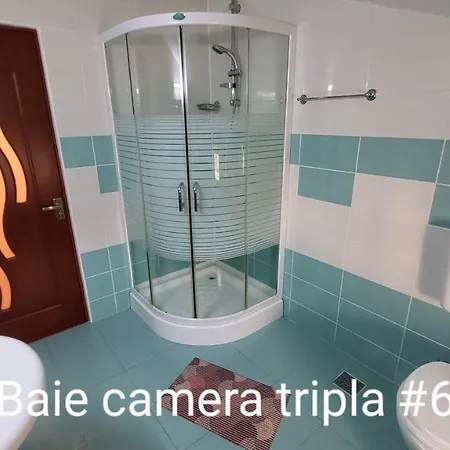 Pensiunea Alegria 3* 데포리노드