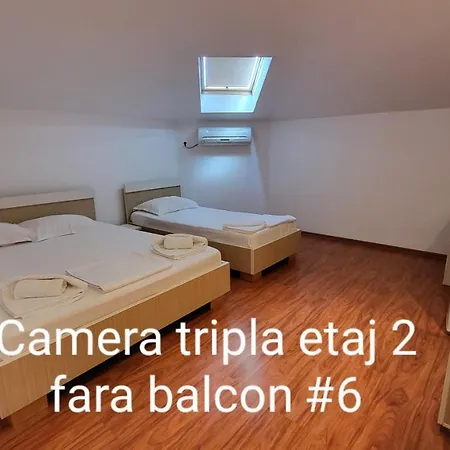 Pensiunea Alegria 게스트하우스 3*