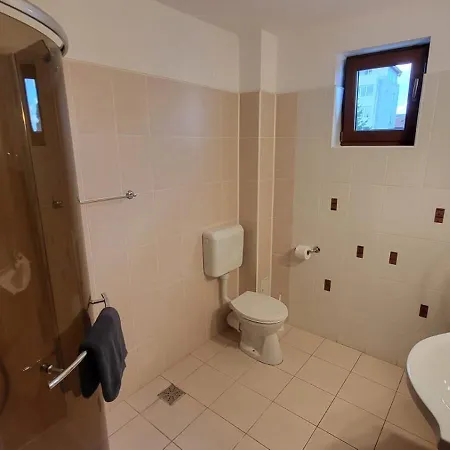 Pensiunea Alegria 게스트하우스 데포리노드