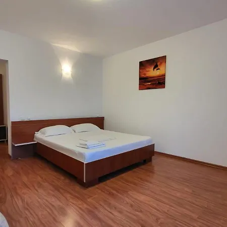 게스트하우스 Pensiunea Alegria 데포리노드