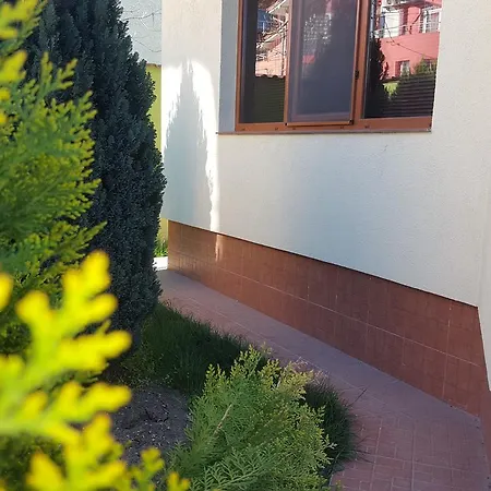 Pensiunea Alegria 게스트하우스 3*