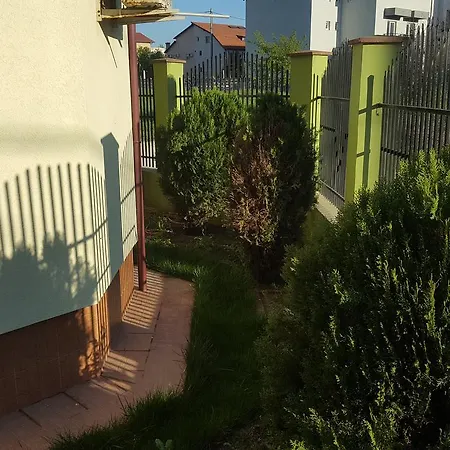 Pensiunea Alegria 3* 데포리노드