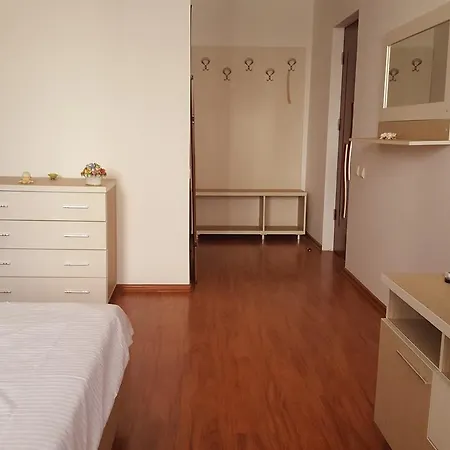 Pensiunea Alegria 게스트하우스