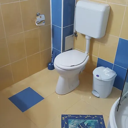 Pensiunea Alegria 3*