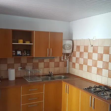 Pensiunea Alegria 게스트하우스 3*