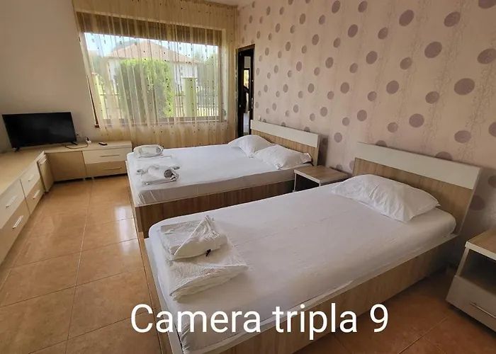 Pensiunea Alegria 3*