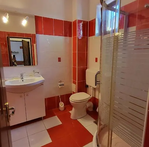 Pensiunea Alegria Affittacamere 3*