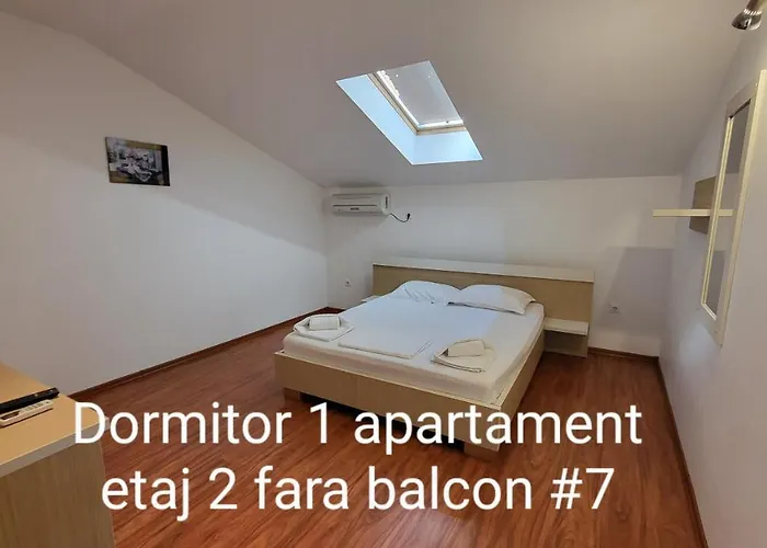 Pensiunea Alegria Affittacamere