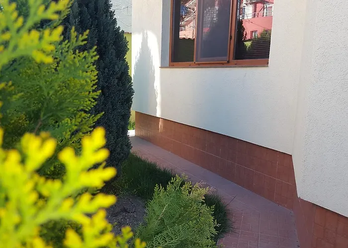 Pensiunea Alegria Affittacamere 3*