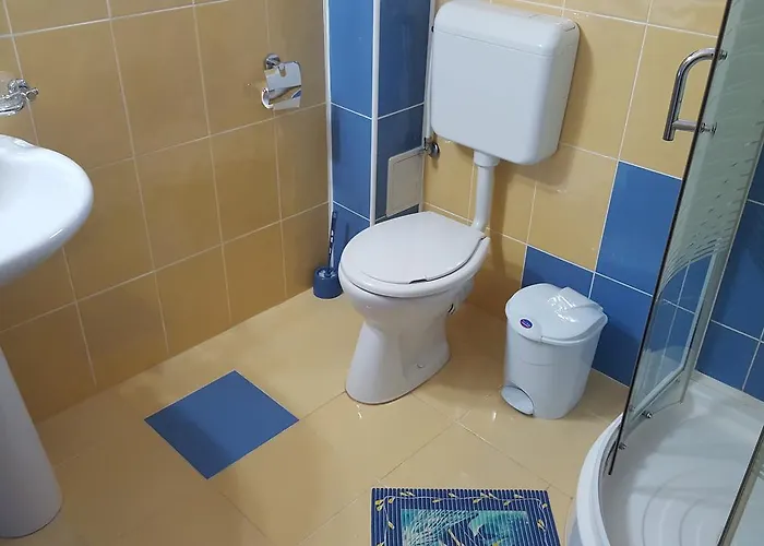 Pensiunea Alegria 3*