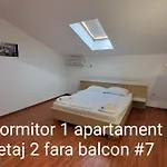 Pensiunea Alegria Gasthof