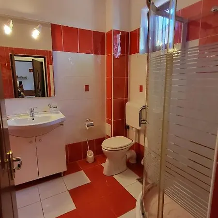 Pensiunea Alegria Konukevi 3*