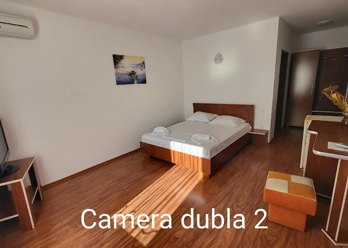 Pensiune Pensiunea Alegria