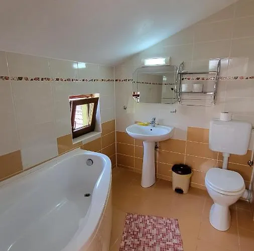 Pensiunea Alegria Pensiune