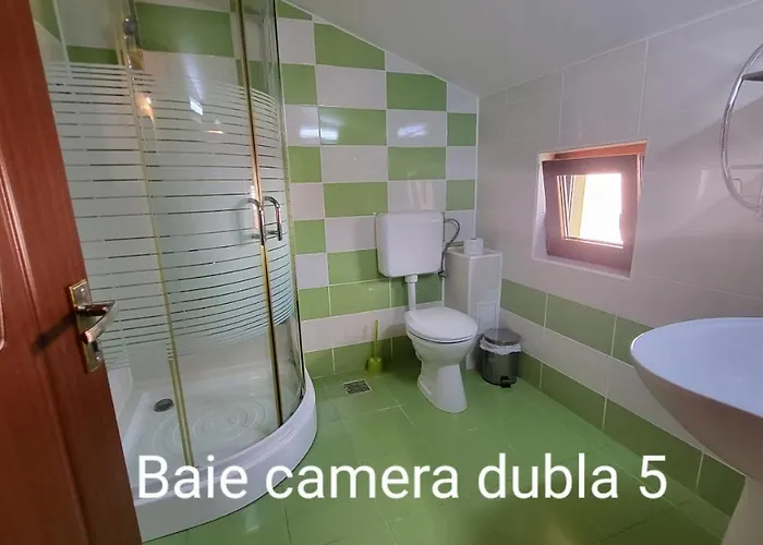 Pensiunea Alegria 3*