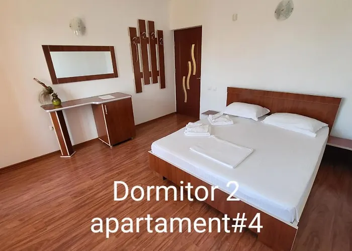 Pensiunea Alegria Guest house