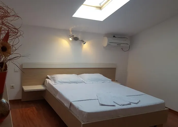 Pensiunea Alegria Pensiune