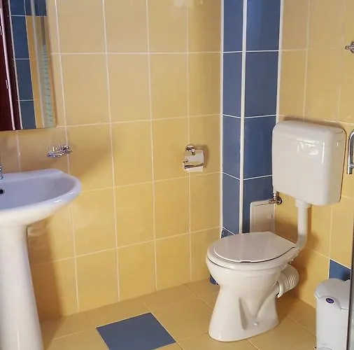 Pensiune Pensiunea Alegria 3*