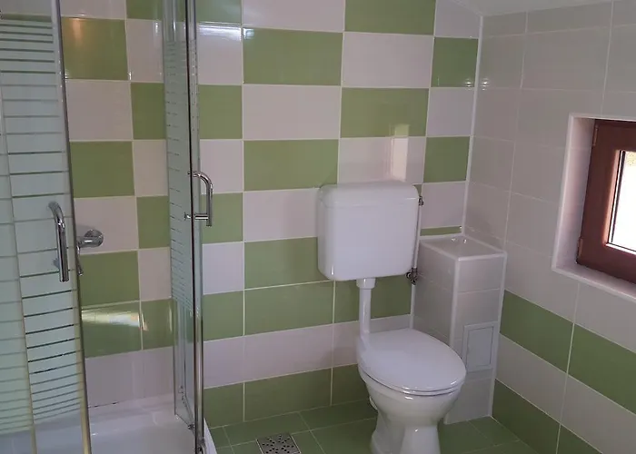 Pensiunea Alegria 3*