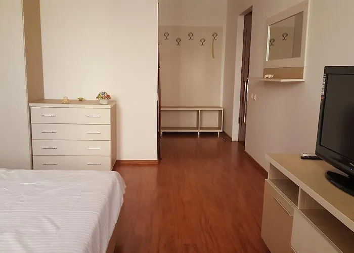 Pensiunea Alegria Pensiune