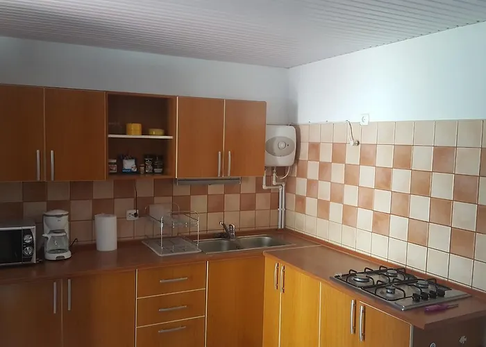 Pensiunea Alegria Pensiune 3*